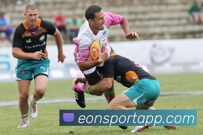 意昂体育平台生态图